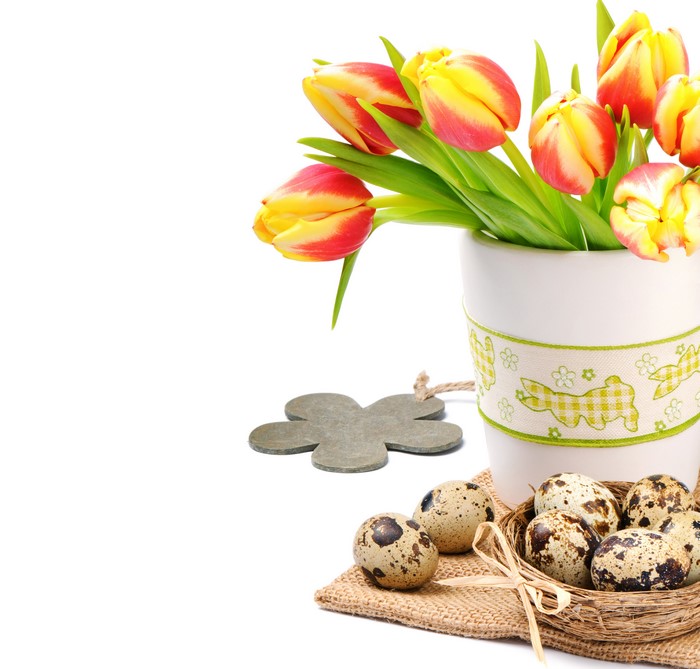 Easter Tulips and Quail Eggs in a Vase