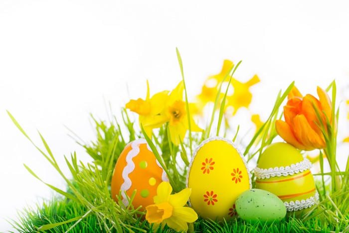 Easter Eggs with Daffodils and Tulips in Grass