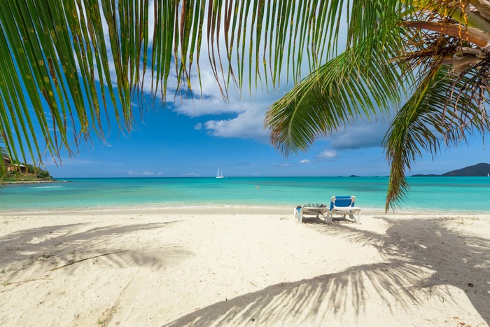 Tropical Beach with Palm Shadows and Clear Blue Sea 4K
