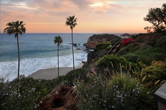 Laguna Beach coast with palm trees and gazebo
