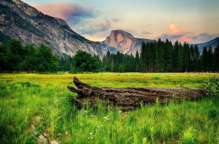 Yosemite National Park Mountains and Meadow