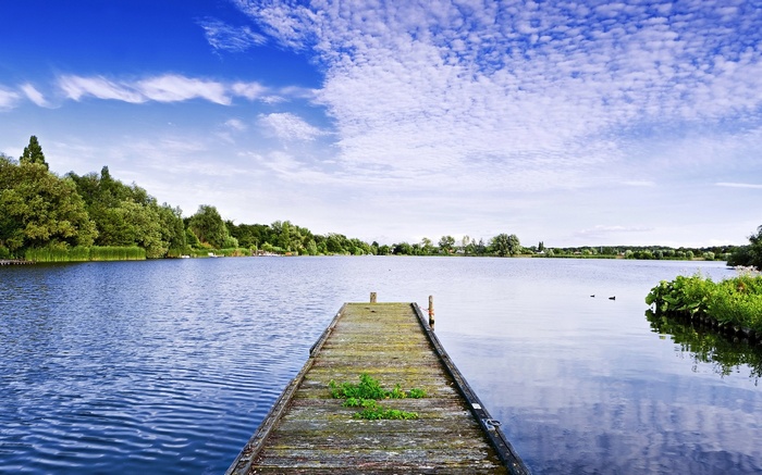 Wooden dock on a lake with trees and clouds