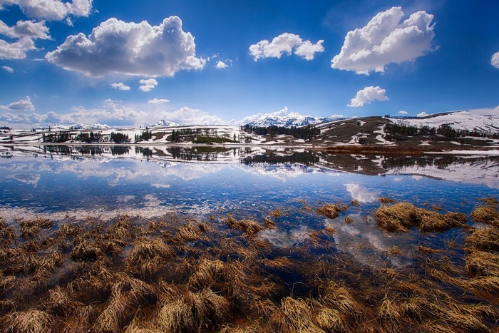 Yellowstone National Park Scenery with Mountains and Lake