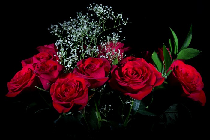Bouquet of Red Roses with Baby's Breath