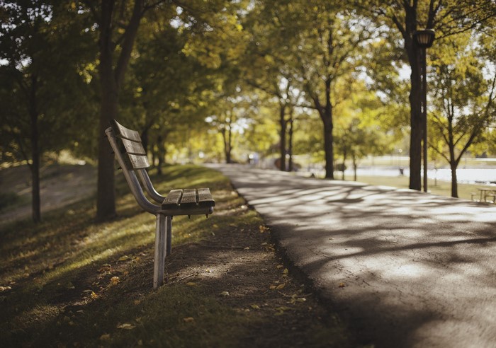 Park bench along a paved path with trees