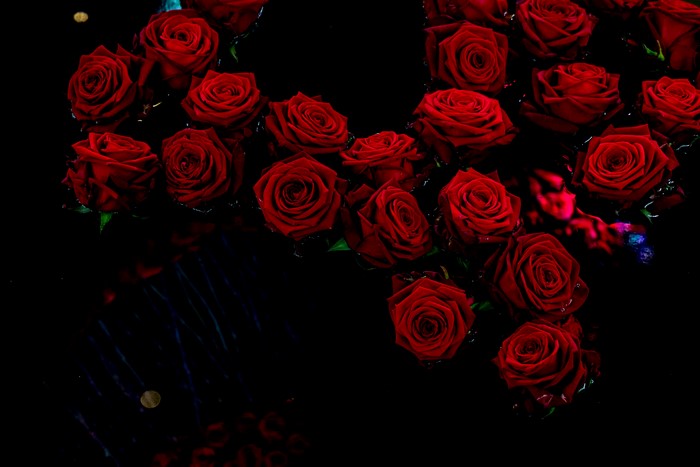 4K Red Roses