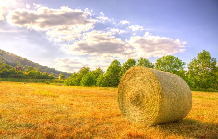 Hay bale in a field with trees and clouds
