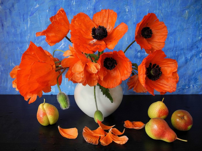 Still-life of orange poppies and pears in a vase