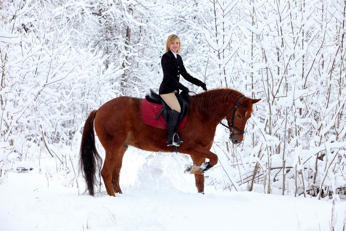 Woman riding a horse in a snowy forest