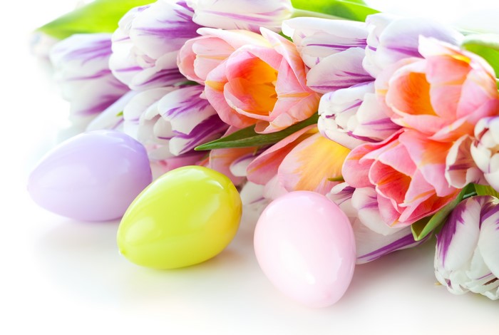 Easter Tulips and Eggs