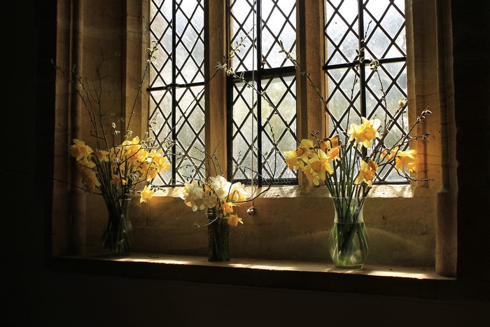 Daffodils in vases on a windowsill in front of a diamond-paned window