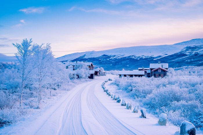 Snowy road leading to houses in a winter landscape
