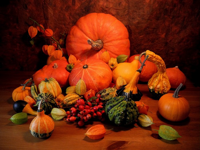 Still-life of pumpkins and gourds