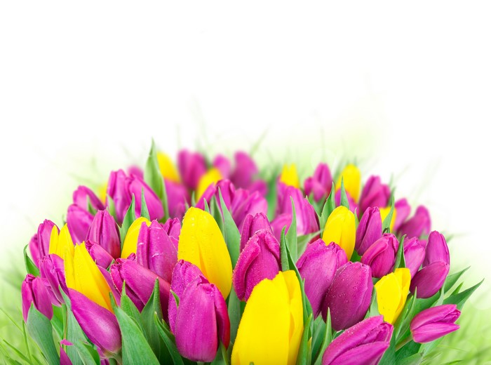 Bouquet of Pink and Yellow Tulips