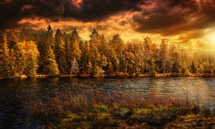 Autumn forest and lake in Switzerland