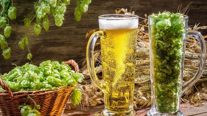 Beer mug with hops and wheat