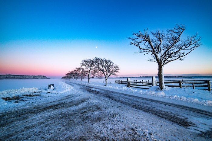 Winter road at dusk with trees and fence