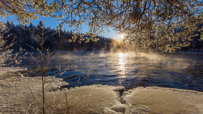 Misty River in Winter with Frosty Branches