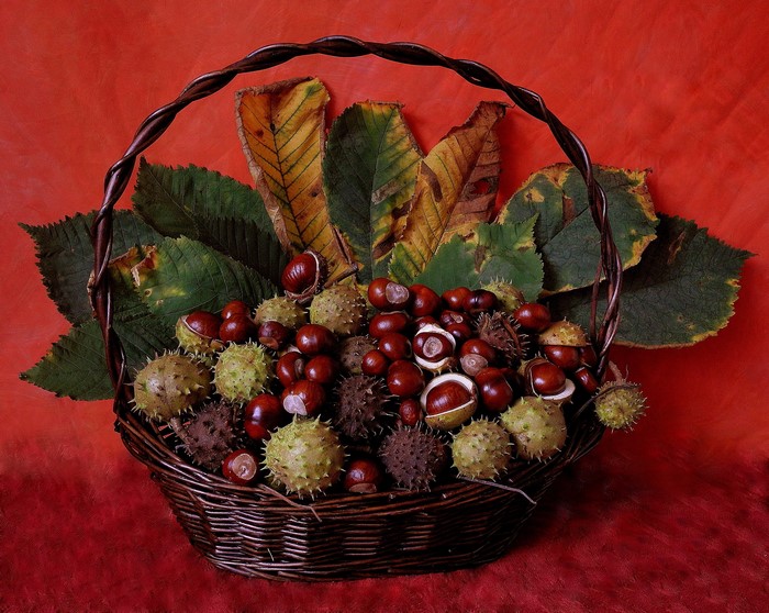 Basket of chestnuts and autumn leaves