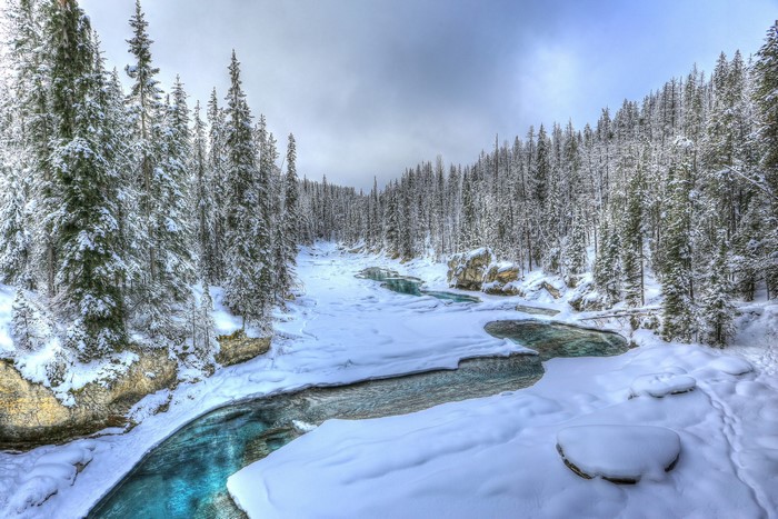 Snowy River and Forest in Alberta, Canada