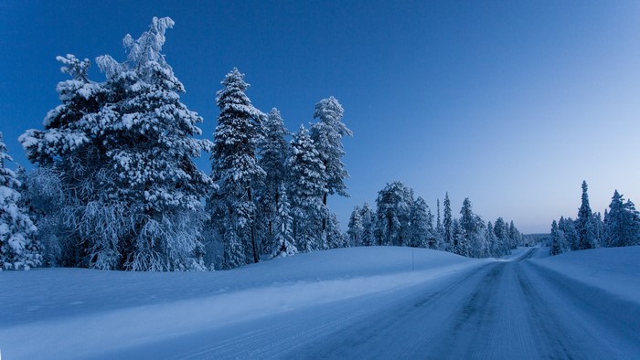 Snow-covered trees line a winter road in Finland