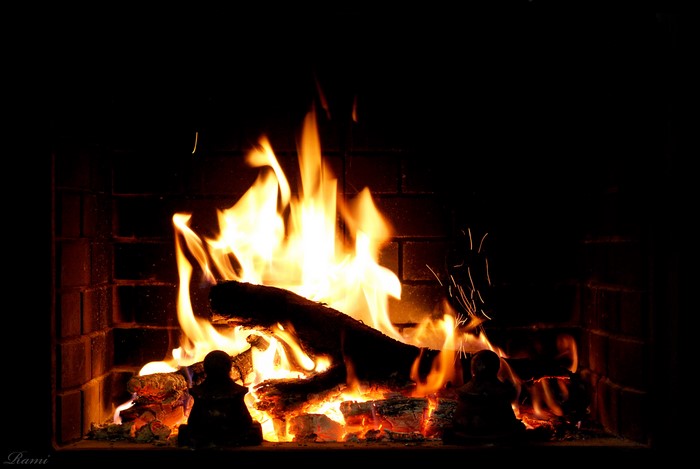 Fireplace with burning logs
