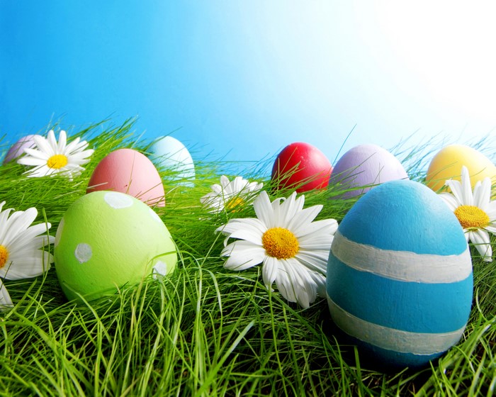 Easter eggs and daisies on grass