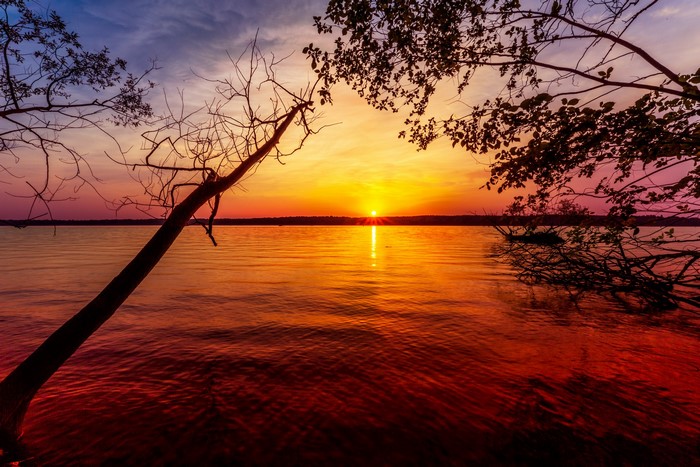 Sunset over a lake with silhouetted branches
