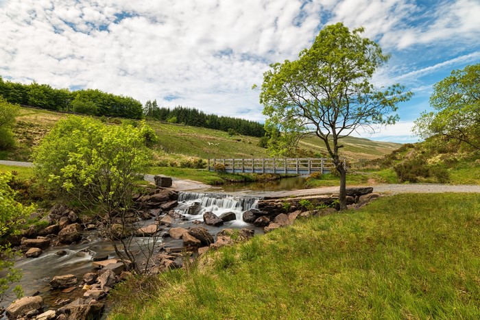Wooden bridge over a stream in a grassy landscape
