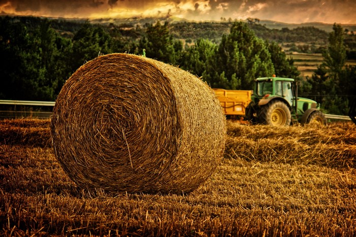 Tractor and Hay Bale in a Field