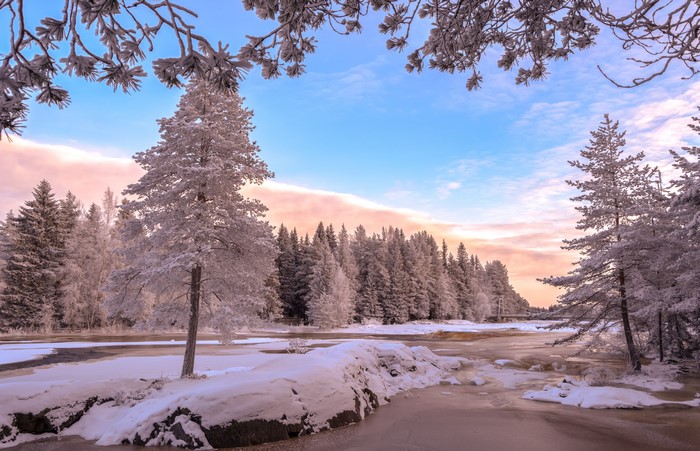 Winter river and snow-covered trees at sunrise