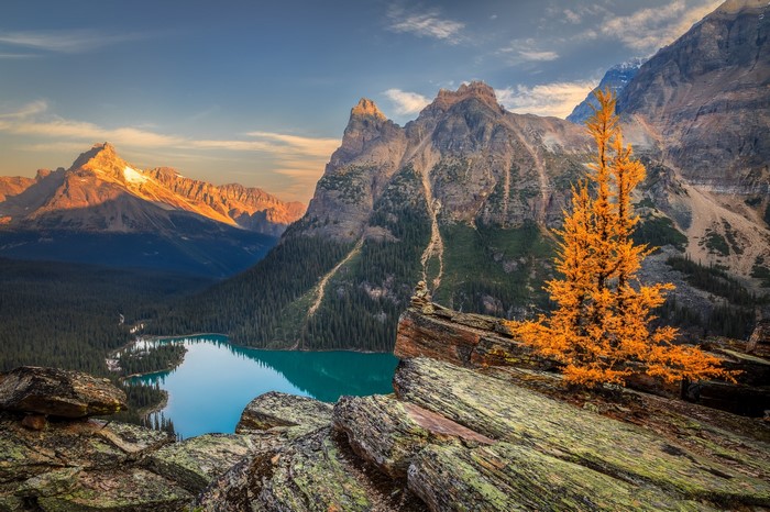 Moraine Lake and Mountains in Yoho National Park, Canada