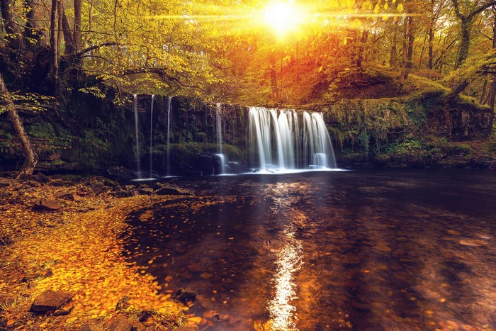 Waterfall in Autumn Forest with Sun Flare