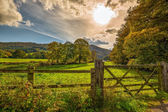 Wooden fence in a green field with trees and clouds