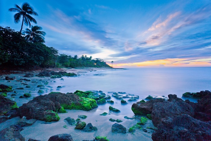 Beach at Dusk with Palm Trees and Rocky Shore