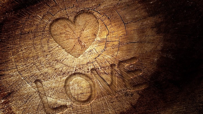 Heart and Love carved into a tree stump