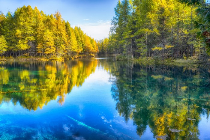 Autumn forest reflected in a clear lake