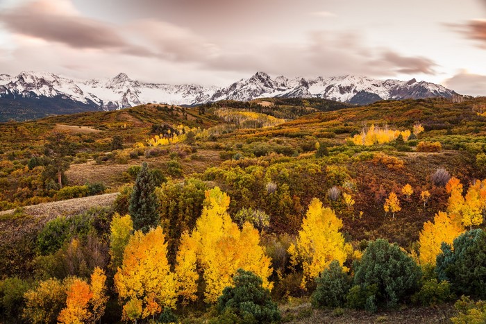 Snow-capped mountains and autumn forest landscape