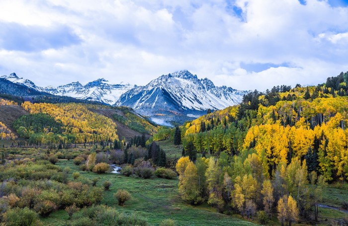 Autumn mountain landscape with yellow trees