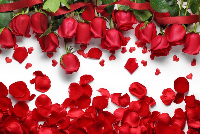 Red Roses and Petals with Ribbon