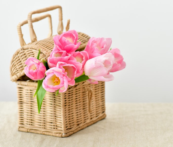 Pink Tulips in a Wicker Basket