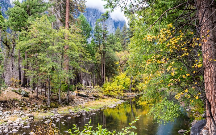 River flowing through Yosemite National Park in California