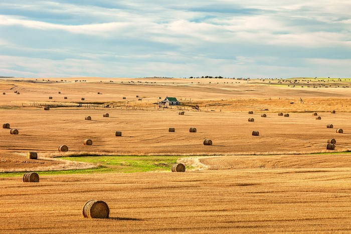 Hay bales in a harvested field with a small house