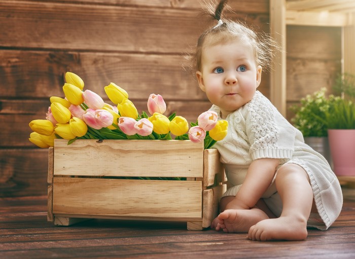 Infant with Tulips in Wooden Crate