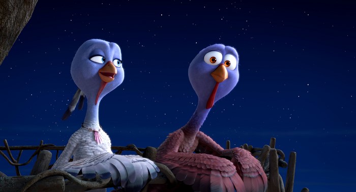 Free Birds turkeys looking at the night sky