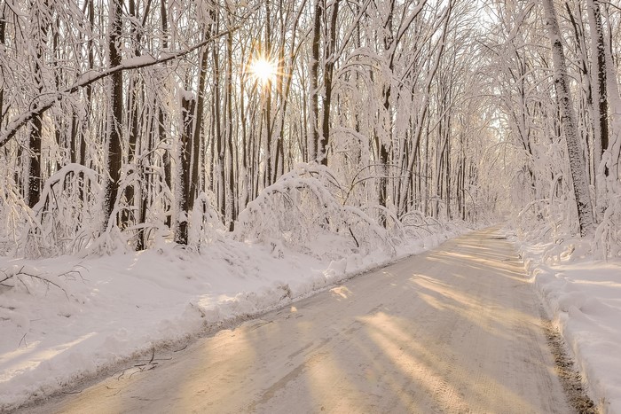 4K Winter Forest Road Covered in Snow