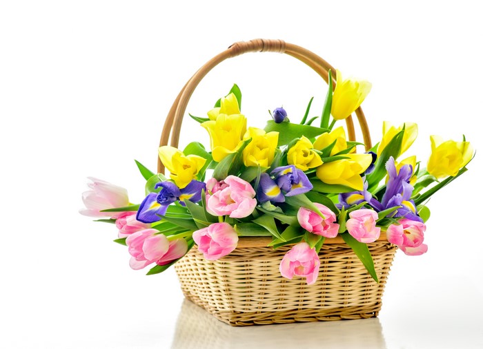 Basket of Tulips and Irises
