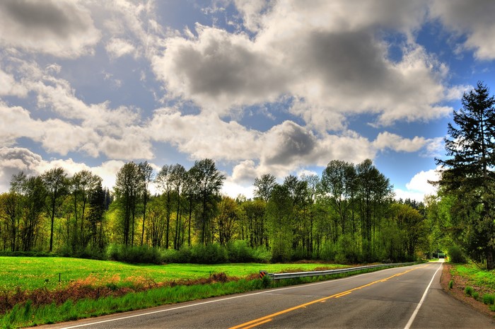 Road through a forest with clouds