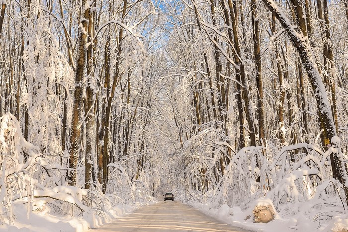 Car driving on a snowy road through a forest