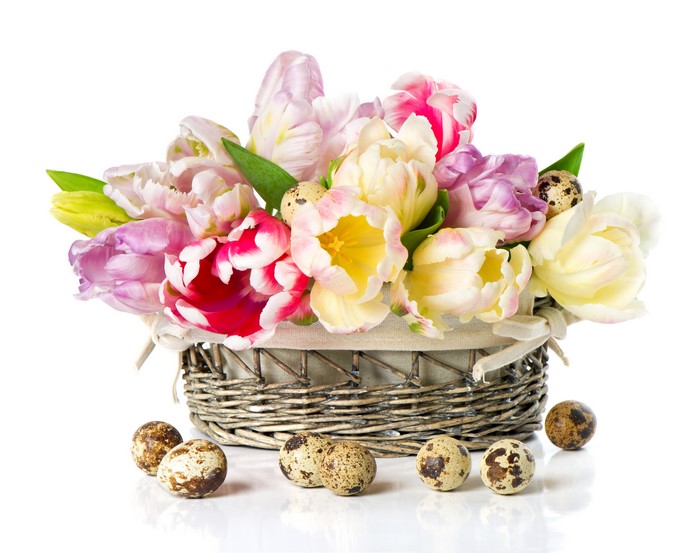 Tulips and eggs in a wicker basket